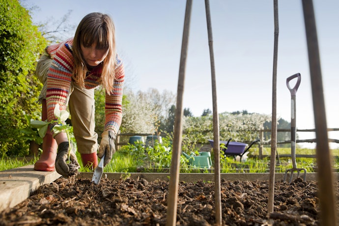 Como Cultivar a Horta?