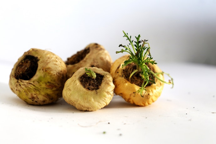 O Que é e Para Que Serve Maca Peruana?