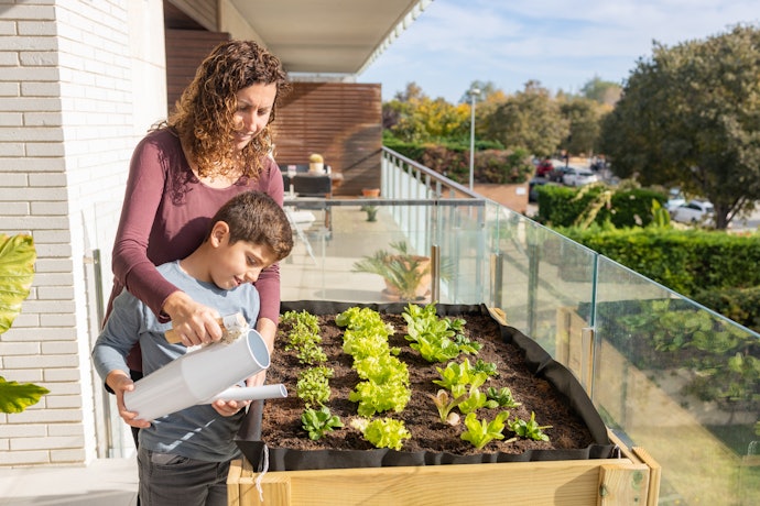 Onde Plantar a Horta em Casa?
