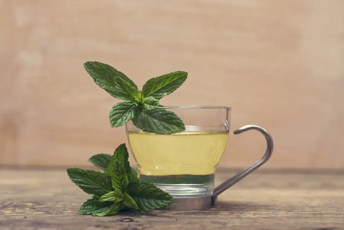 Chá de Hortelã: O que é, Para que Serve, Como Tomar e mais