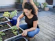 Como Fazer Horta em Casa: Confira o Guia Completo