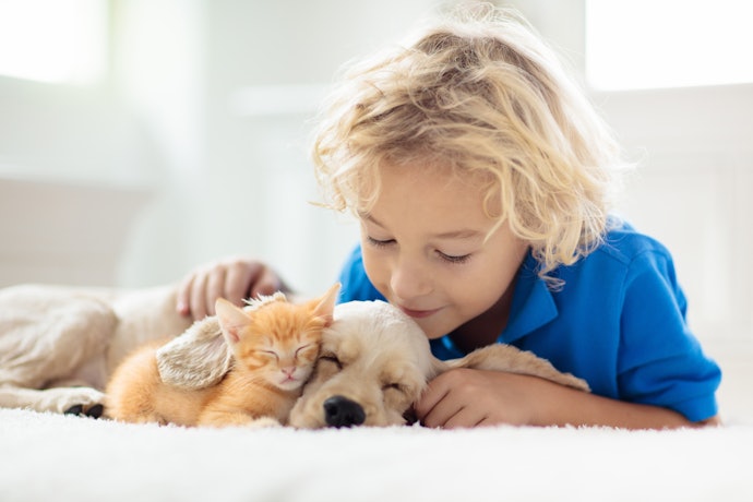 Inseticida Faz Mal para Humanos? E para Cachorros e Gatos?