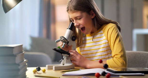 Atividades e Experimentos para Fazer com o Microscópio Infantil