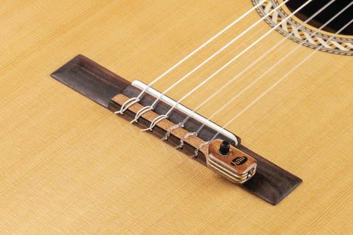 Compre um Bom Captador para Potencializar o Som do Seu Violão