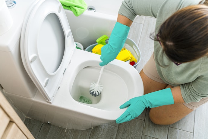 Como Limpar Vaso Sanitário?