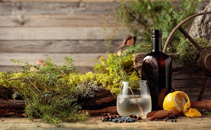 Gin se Toma com o quê?
