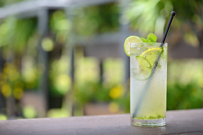 Veja Algumas Opções de Drinks com Água Tônica