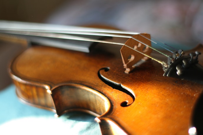 Qual é a Marca de Violino Mais Cara do Mundo?