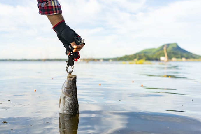 Como Usar o Alicate Pega-Peixe?