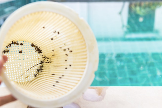 Cuidados com a Bomba para Piscina