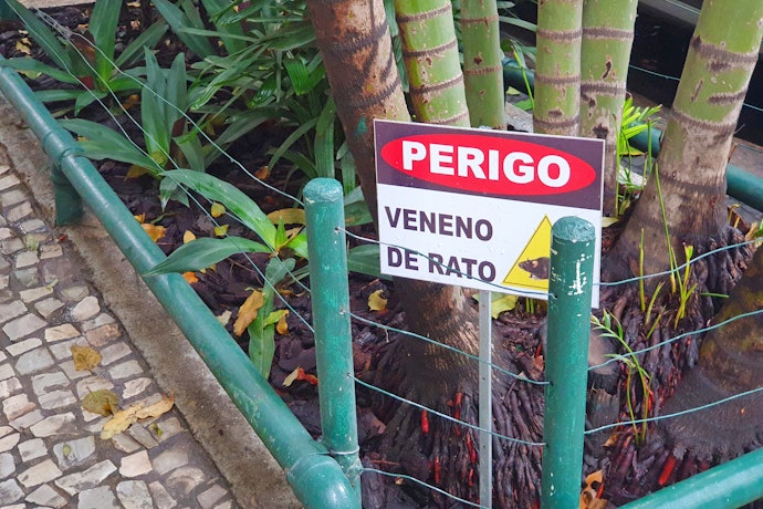 Qual o Efeito do Veneno de Rato no Ser Humano?