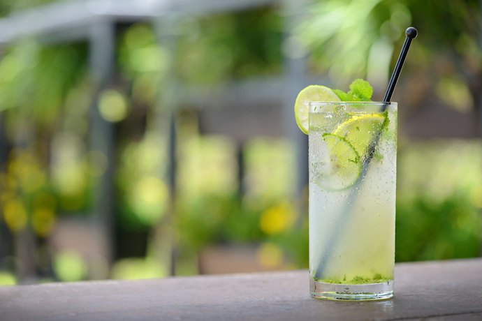 Veja Algumas Opções de Drinks com Água Tônica
