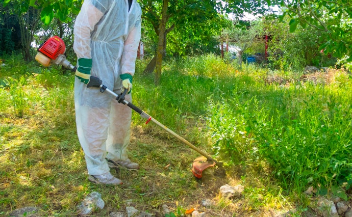 Veja Alguns Cuidados para Utilizar a Roçadeira com Segurança