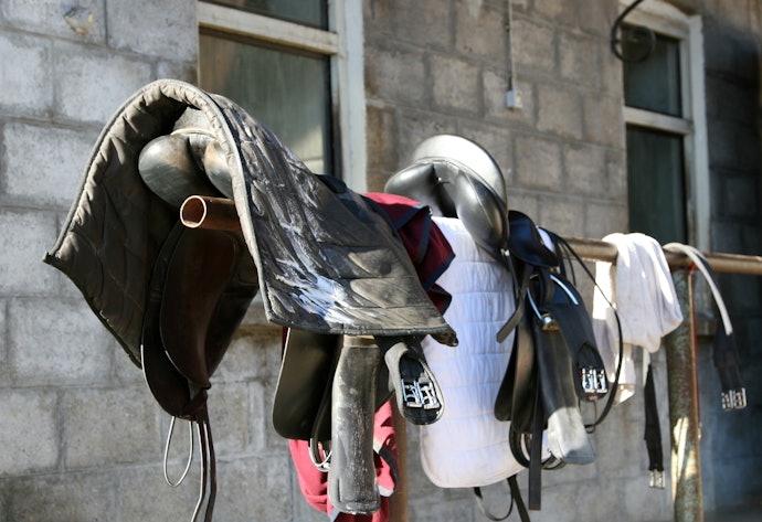 Dicas e Cuidados com Sua Manta para Cavalo
