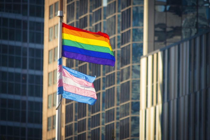 O que são Livros LGBT+?