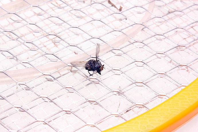 Vantagens e Desvantagens da Raquete Elétrica