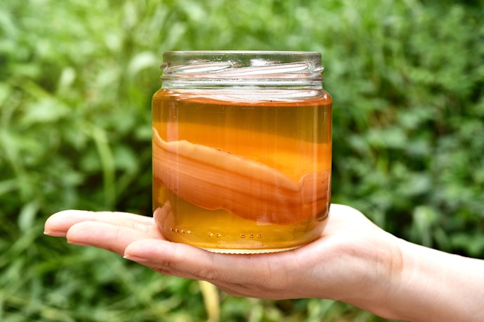 Kombucha é Alcoólico?