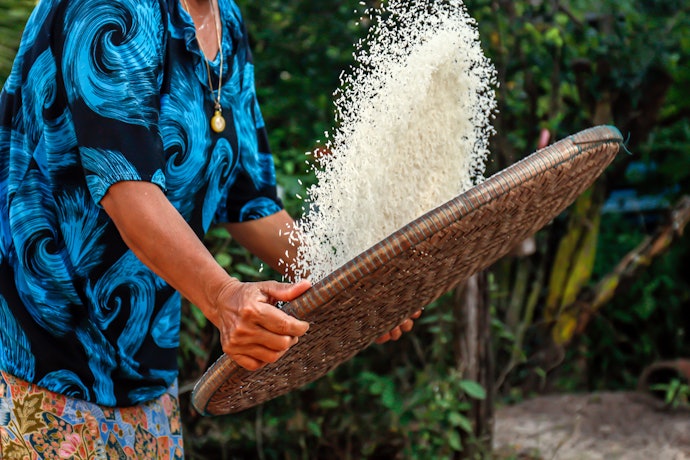 O que é Arroz Basmati?