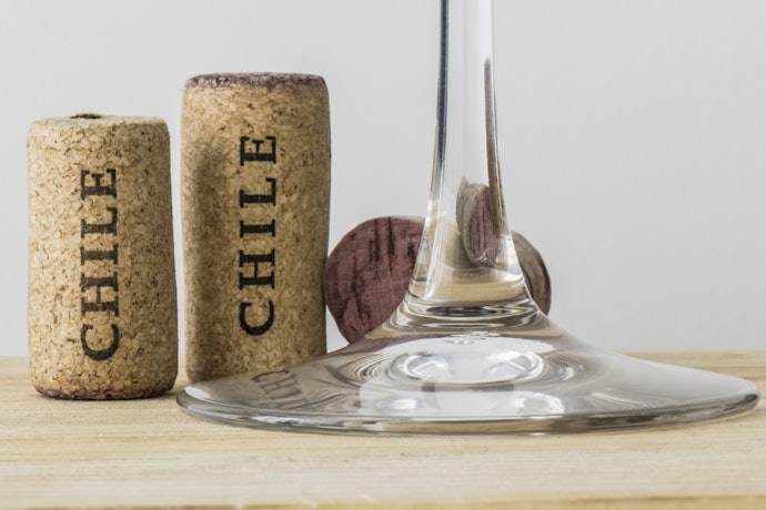 Quais as Características do Vinho Chileno?