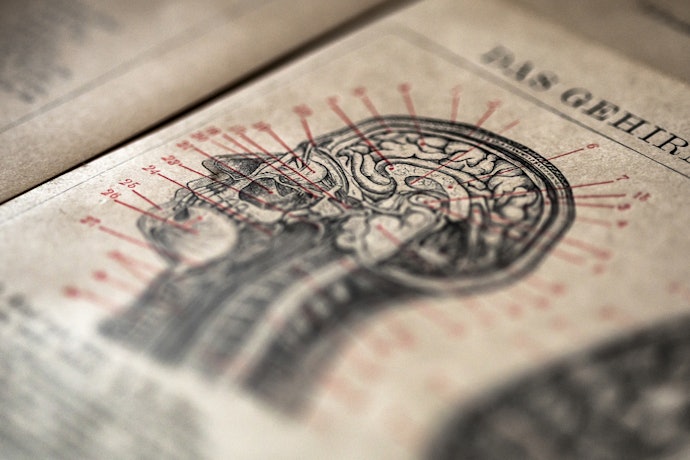 O que É um Atlas de Anatomia Humana?