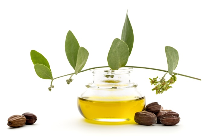 Para que Serve o Óleo de Jojoba? Conheça Seus Benefícios
