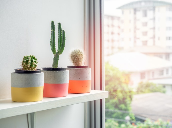 Qual a Diferença Entre Vaso de Flor e Cachepot?