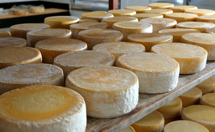 O Que É o Queijo de Minas?