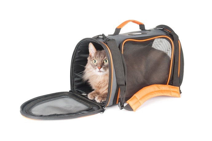 Para que Serve uma Bolsa de Transporte Pet?