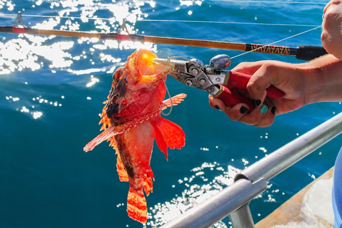 Para que Serve o Alicate de Pesca?