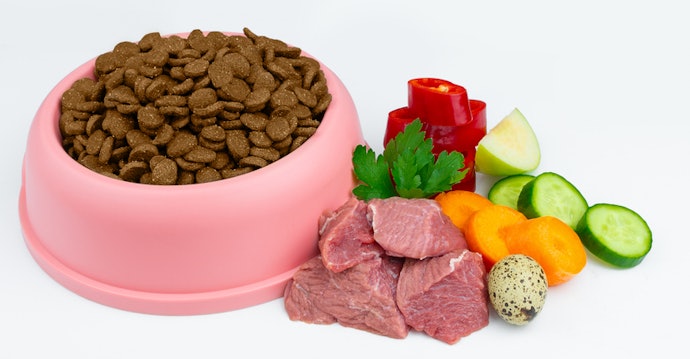 O que É Ração Natural para Cachorro?
