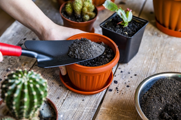Composto Orgânico, Terra Vegetal ou Substrato?