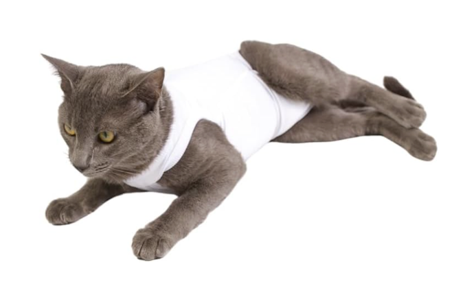 Para que Serve a Roupa Cirúrgica para Gato?