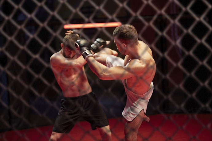 Qual é o Significado de MMA?