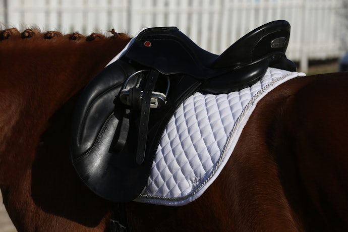 Para Que Serve a Manta para Cavalo?