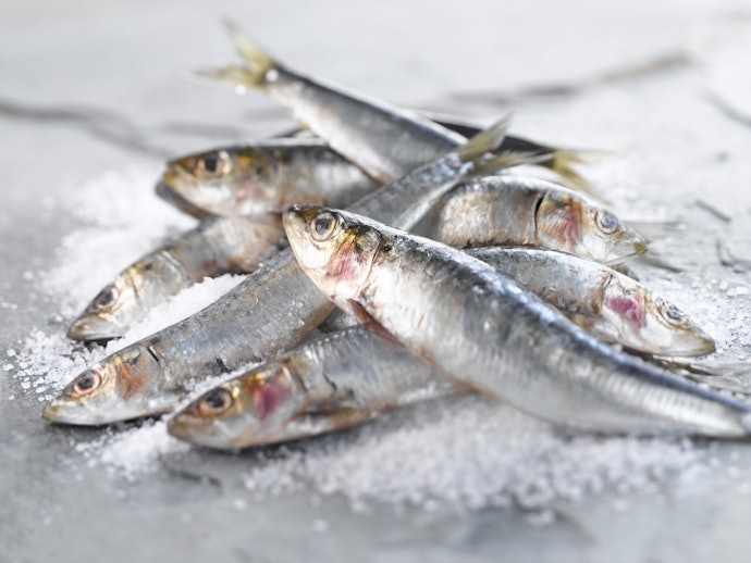 Quais São os Benefícios da Sardinha?