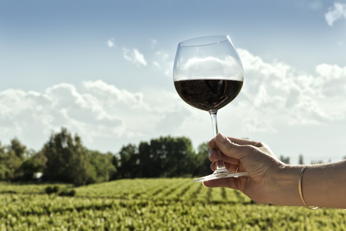 Quais as Características do Vinho Carménère?