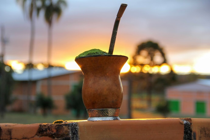 Conheça os Benefícios da Erva-Mate para Chimarrão
