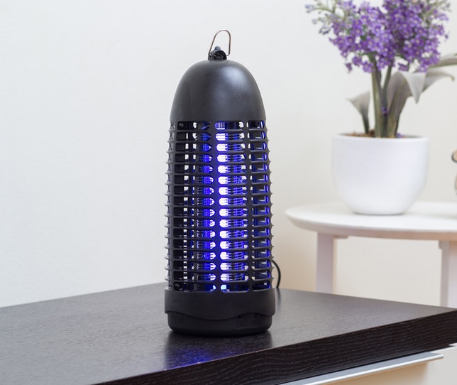 O Que É Armadilha para Mosquitos e Como Funciona?