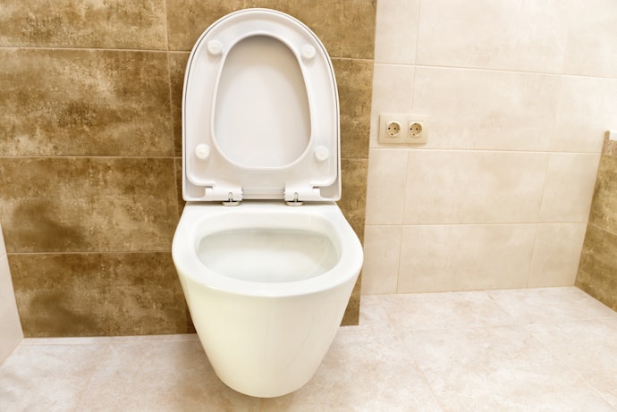 Quais São as Vantagens do Vaso Sanitário Convencional?