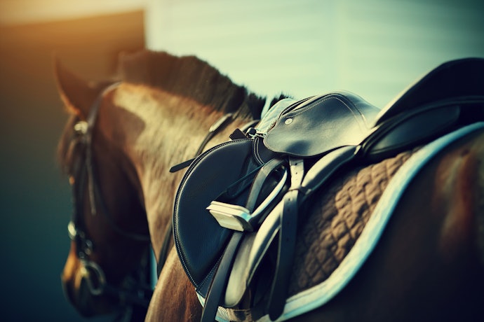 O Que É Sela para Cavalo?