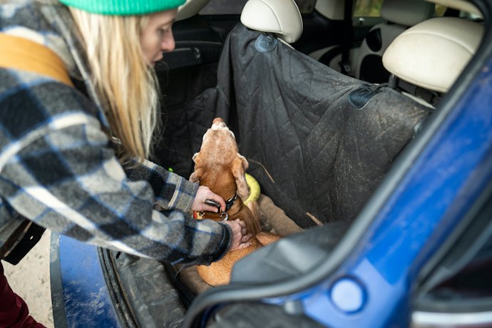 Para Que Serve uma Capa Protetora para Carros Pet?
