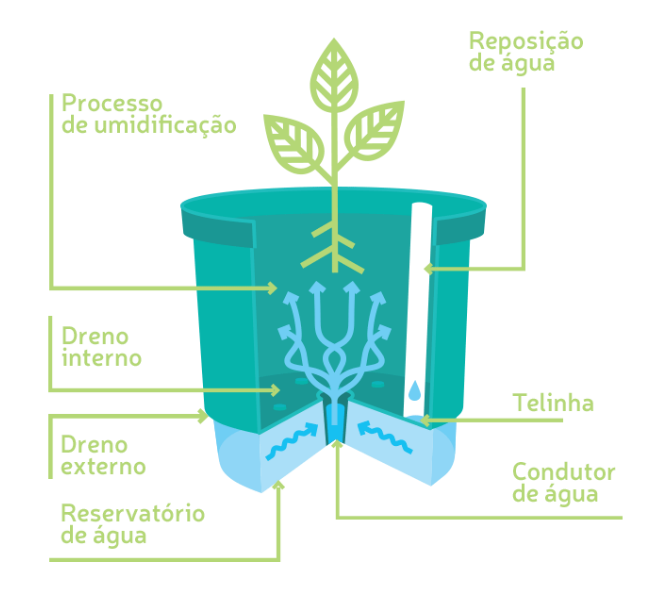 O Que é um Vaso Autoirrigável?