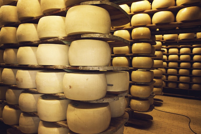 Qual a Diferença Entre Queijo Parmesão, Grana Padano e Outros Tipos?