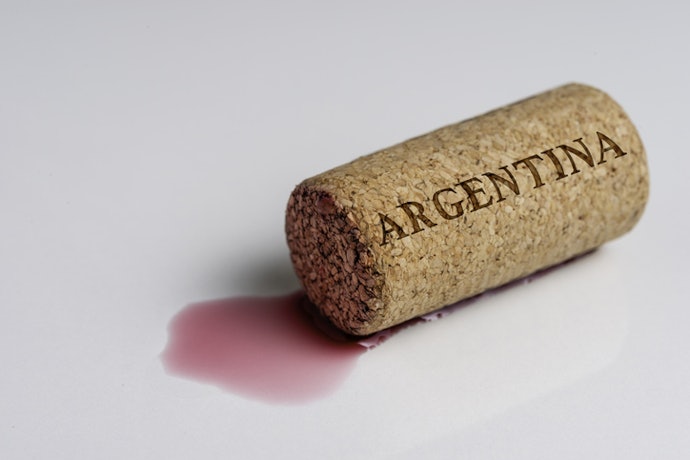 Conheça as Características dos Vinhos Argentinos