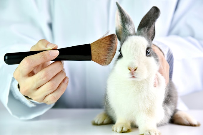 Invista em Pincéis Cruelty-Free e Veganos e Cuide do Meio Ambiente