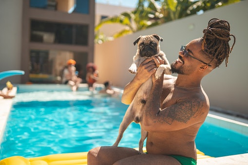Prefira Resorts que Aceitam Pet para Viajar com o Seu Melhor Amigo