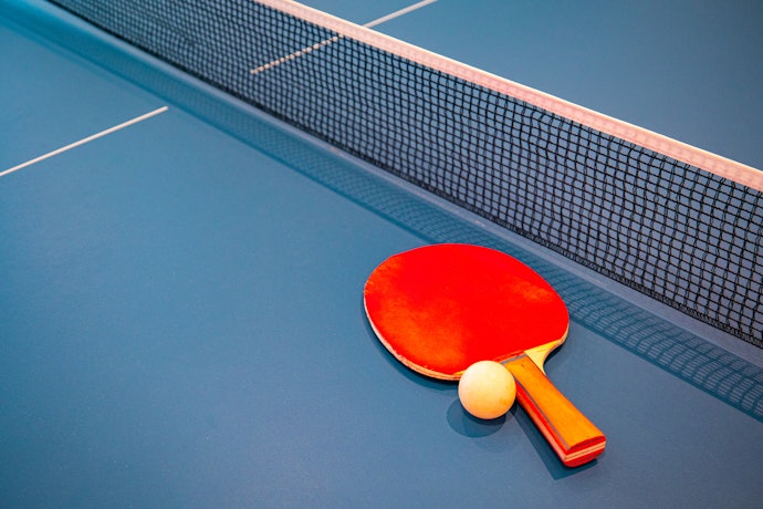 Top 10 Melhores Mesas de Ping Pong em 2023 (Klopf, Procópio e mais)