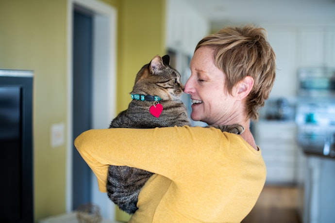 Coleiras Leves com no Máximo 50 g Não Pesam Nem Sufocam o Gato