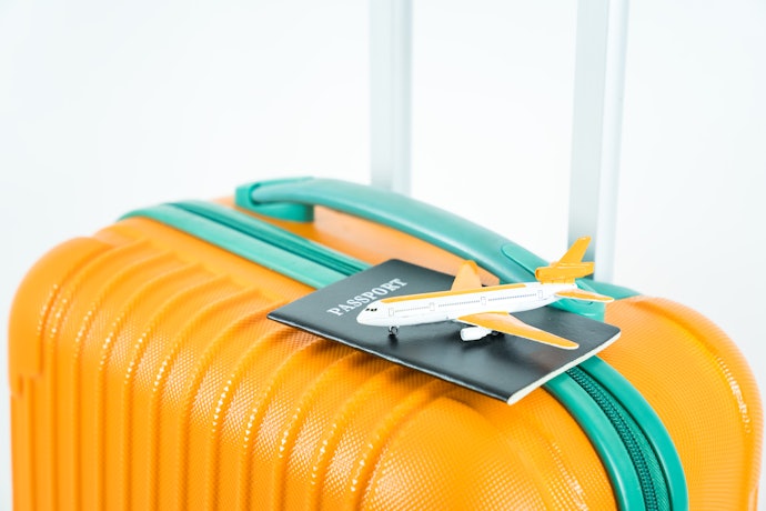 Descubra Se o Site Trabalha com Companhias Low Cost