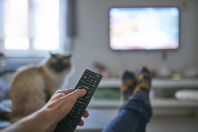 Verifique o Número de Temporadas e Episódios
